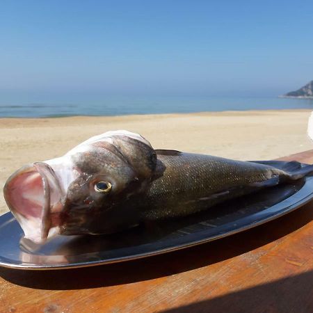 Bungalow Minonthebeach Gaeta Bagian luar foto