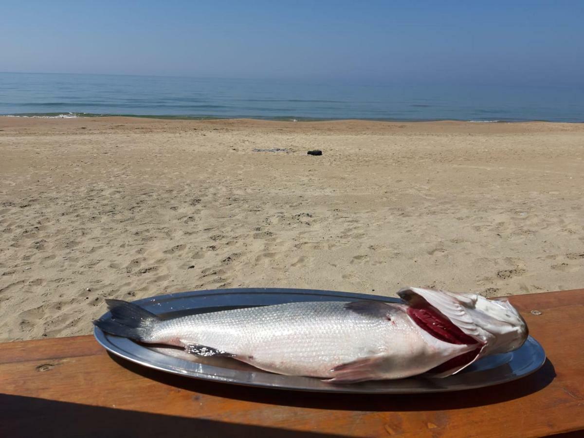 Bungalow Minonthebeach Gaeta Bagian luar foto